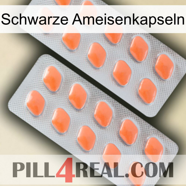 Black Ant Capsules 27.jpg